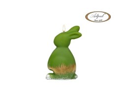 Świeca Zając IV Mały 150/90/40 mm oliwka mat Adpal